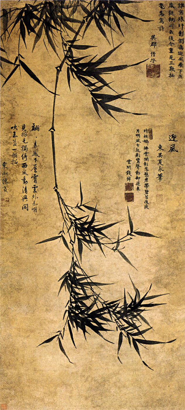 Bamboo in Wind